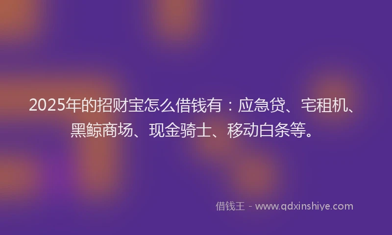 2025年的招财宝怎么借钱有：应急贷、宅租机、黑鲸商场、现金骑士、移动白条等。