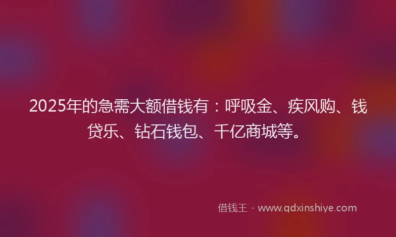 2025年的急需大额借钱有：呼吸金、疾风购、钱贷乐、钻石钱包、千亿商城等。