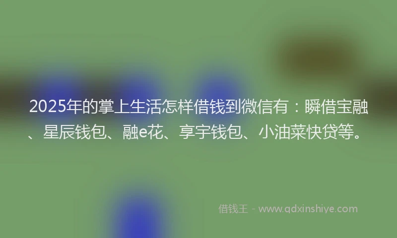 2025年的掌上生活怎样借钱到微信有：瞬借宝融、星辰钱包、融e花、享宇钱包、小油菜快贷等。