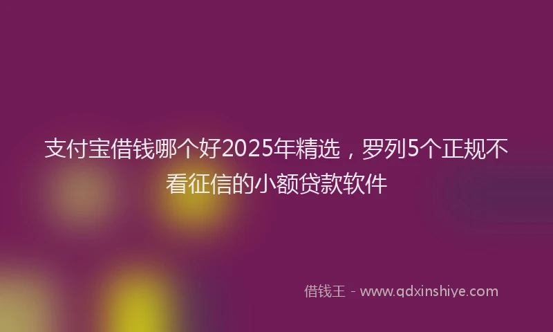 支付宝借钱哪个好2025年精选，罗列5个正规不看征信的小额贷款软件