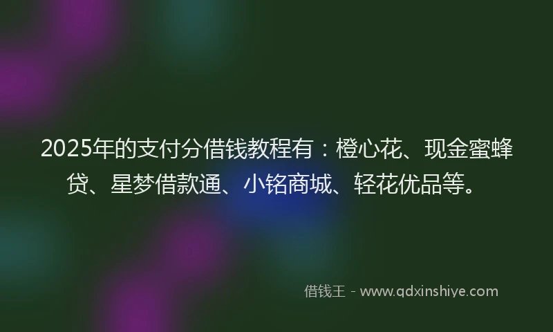 2025年的支付分借钱教程有：橙心花、现金蜜蜂贷、星梦借款通、小铭商城、轻花优品等。