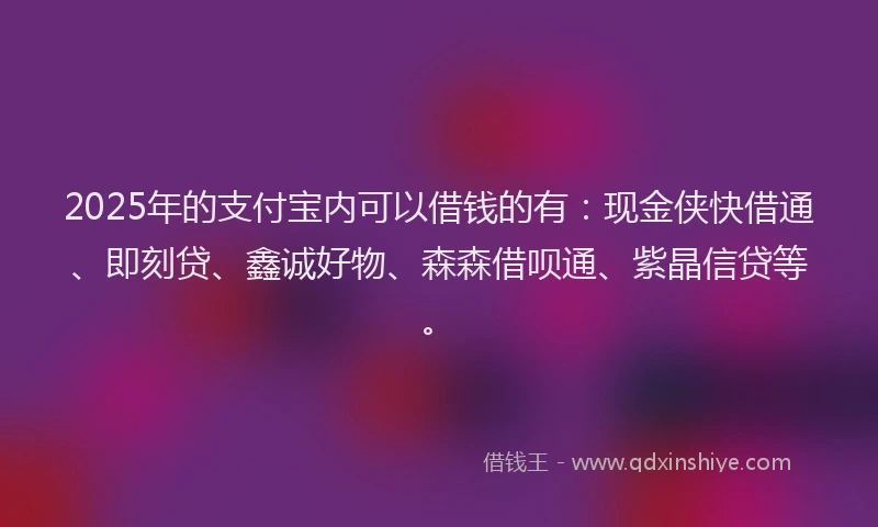 2025年的支付宝内可以借钱的有：现金侠快借通、即刻贷、鑫诚好物、森森借呗通、紫晶信贷等。