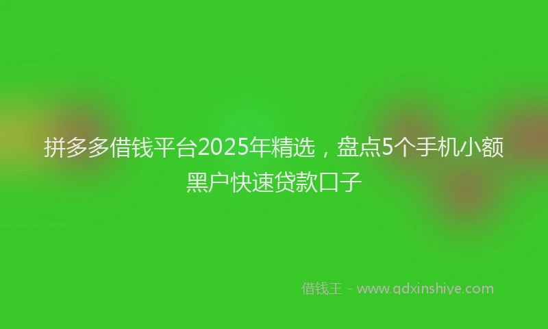 拼多多借钱平台2025年精选，盘点5个手机小额黑户快速贷款口子
