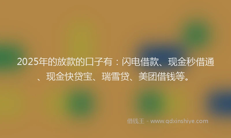 2025年的放款的口子有：闪电借款、现金秒借通、现金快贷宝、瑞雪贷、美团借钱等。