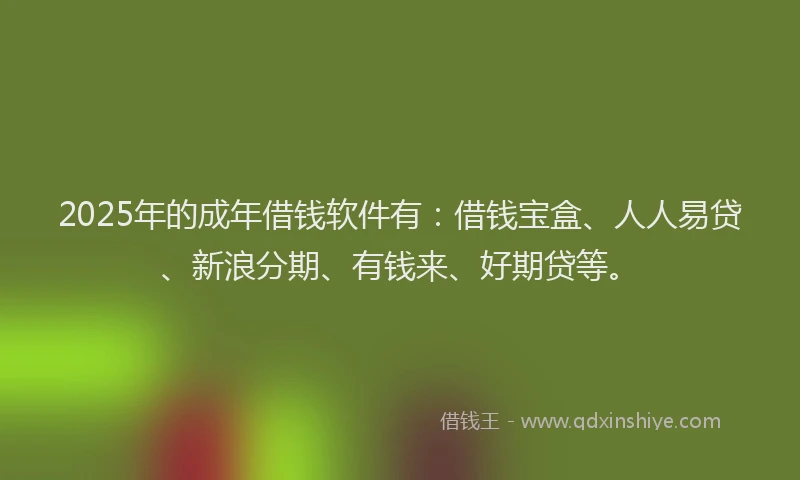 2025年的成年借钱软件有：借钱宝盒、人人易贷、新浪分期、有钱来、好期贷等。