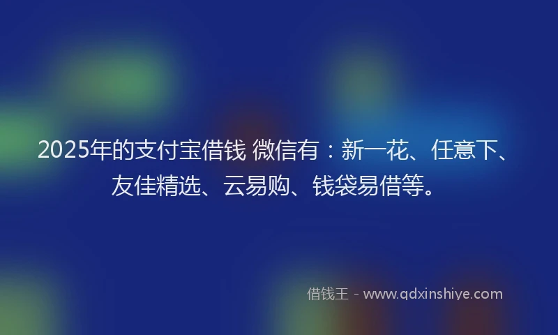 2025年的支付宝借钱 微信有：新一花、任意下、友佳精选、云易购、钱袋易借等。
