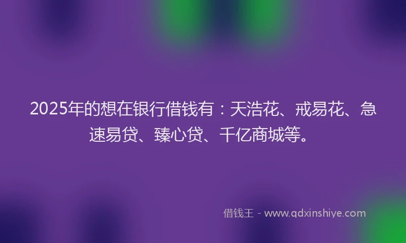 2025年的想在银行借钱有：天浩花、戒易花、急速易贷、臻心贷、千亿商城等。