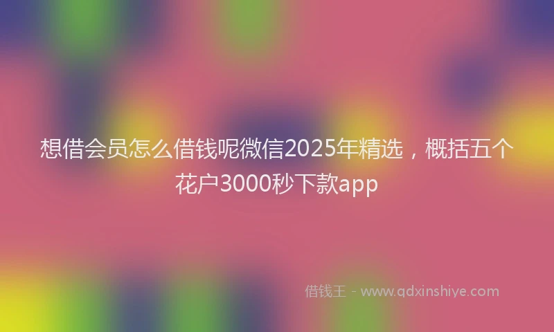 想借会员怎么借钱呢微信2025年精选，概括五个花户3000秒下款app