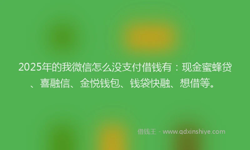2025年的我微信怎么没支付借钱有：现金蜜蜂贷、喜融信、金悦钱包、钱袋快融、想借等。