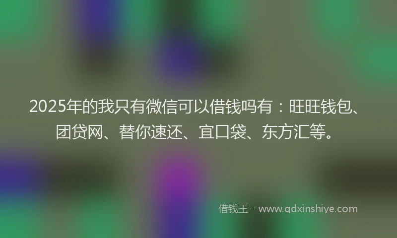 2025年的我只有微信可以借钱吗有：旺旺钱包、团贷网、替你速还、宜口袋、东方汇等。