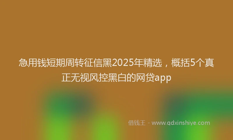 急用钱短期周转征信黑2025年精选，概括5个真正无视风控黑白的网贷app