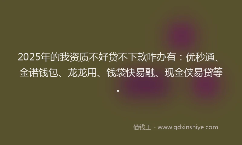 2025年的我资质不好贷不下款咋办有：优秒通、金诺钱包、龙龙用、钱袋快易融、现金侠易贷等。