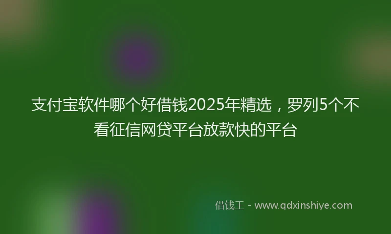 支付宝软件哪个好借钱2025年精选，罗列5个不看征信网贷平台放款快的平台