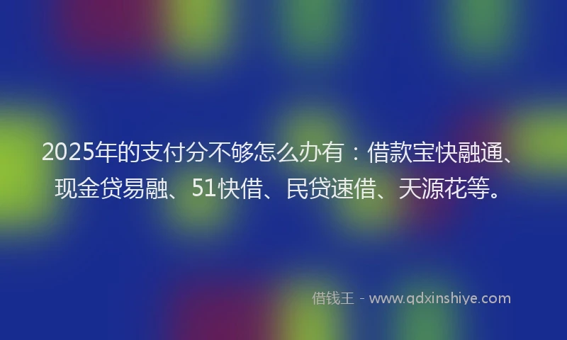 2025年的支付分不够怎么办有：借款宝快融通、现金贷易融、51快借、民贷速借、天源花等。