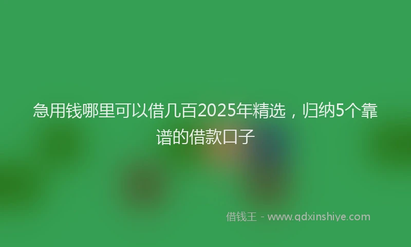 急用钱哪里可以借几百2025年精选，归纳5个靠谱的借款口子