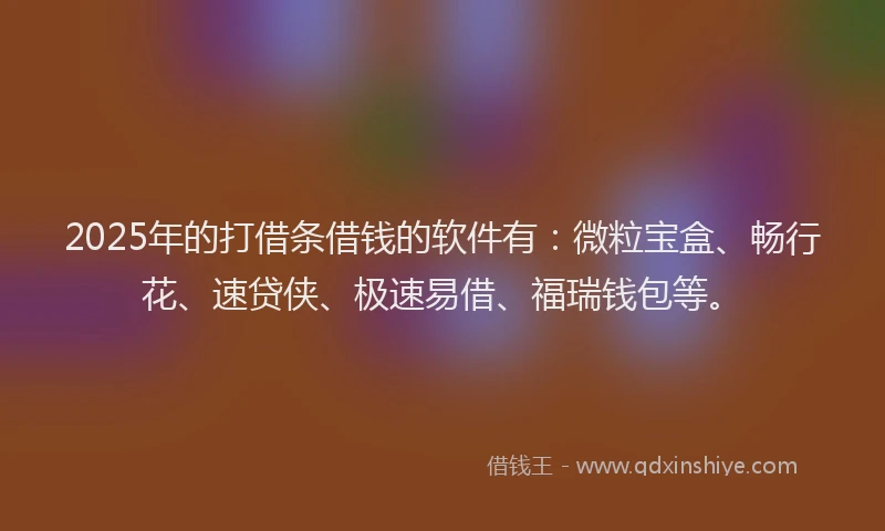 2025年的打借条借钱的软件有：微粒宝盒、畅行花、速贷侠、极速易借、福瑞钱包等。