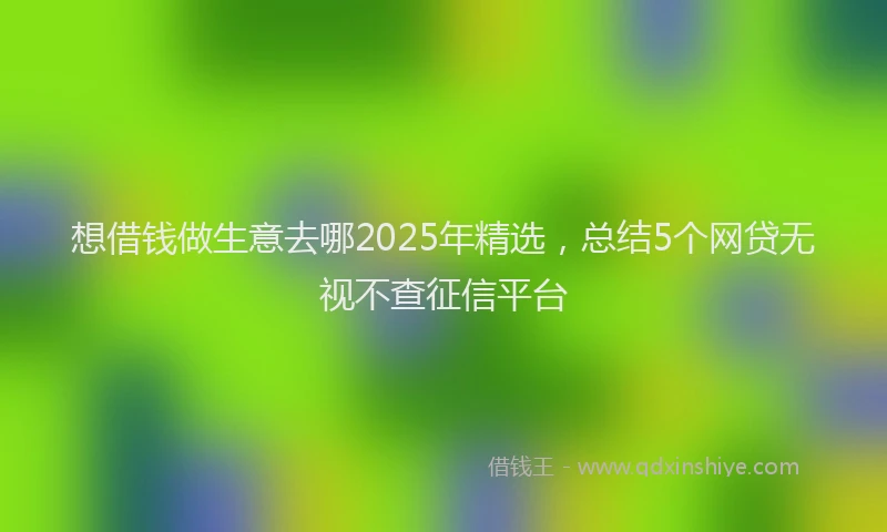 想借钱做生意去哪2025年精选，总结5个网贷无视不查征信平台