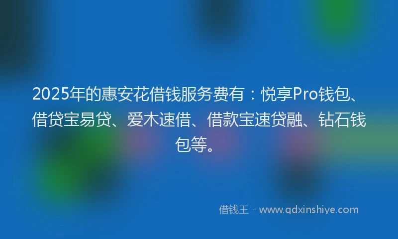 2025年的惠安花借钱服务费有：悦享Pro钱包、借贷宝易贷、爱木速借、借款宝速贷融、钻石钱包等。
