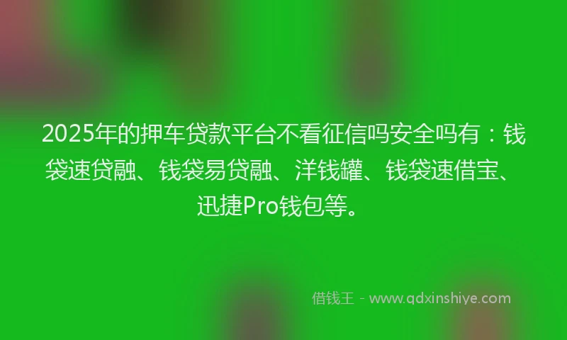 2025年的押车贷款平台不看征信吗安全吗有：钱袋速贷融、钱袋易贷融、洋钱罐、钱袋速借宝、迅捷Pro钱包等。