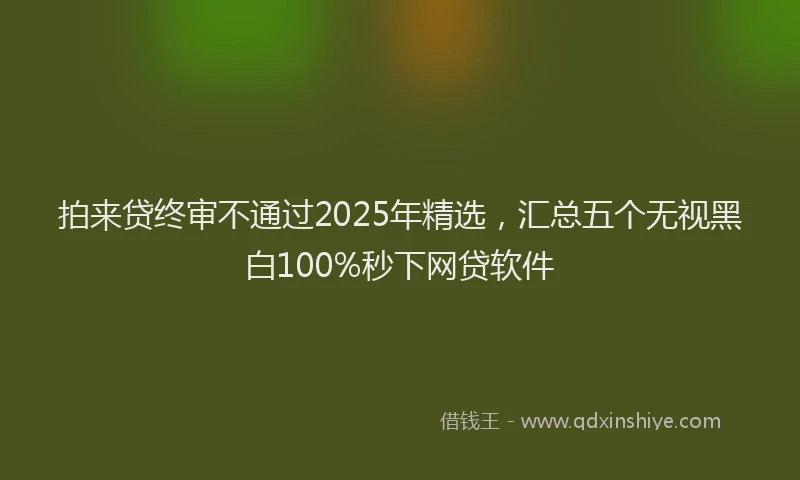 拍来贷终审不通过2025年精选，汇总五个无视黑白100%秒下网贷软件