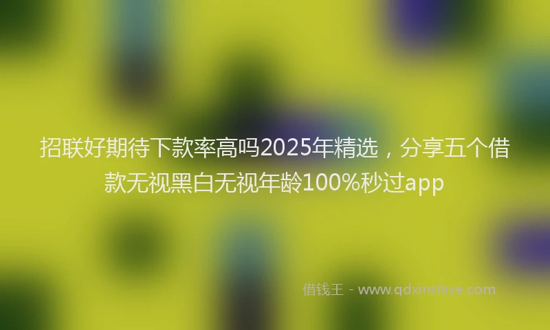 招联好期待下款率高吗2025年精选，分享五个借款无视黑白无视年龄100%秒过app