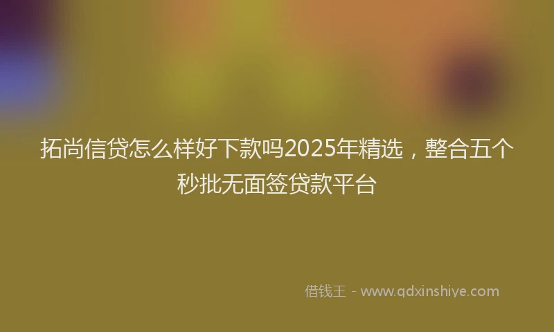 拓尚信贷怎么样好下款吗2025年精选，整合五个秒批无面签贷款平台