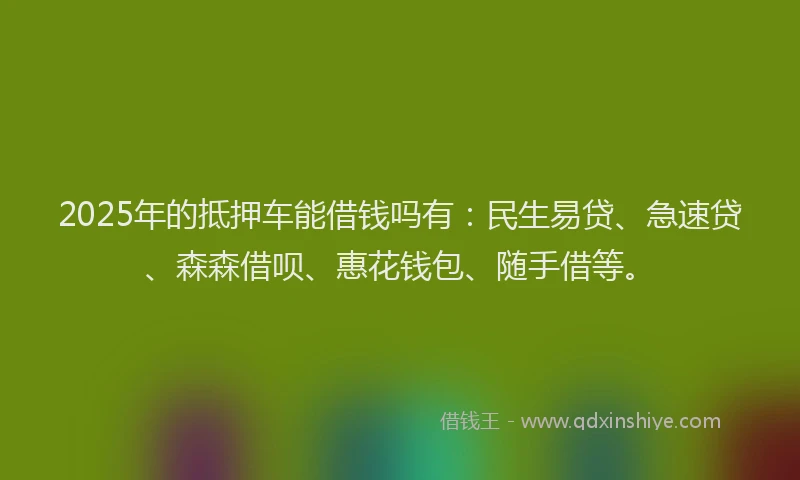 2025年的抵押车能借钱吗有：民生易贷、急速贷、森森借呗、惠花钱包、随手借等。