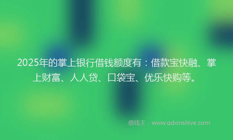 2025年的掌上银行借钱额度有：借款宝快融、掌上财富、人人贷、口袋宝、优乐快购等。