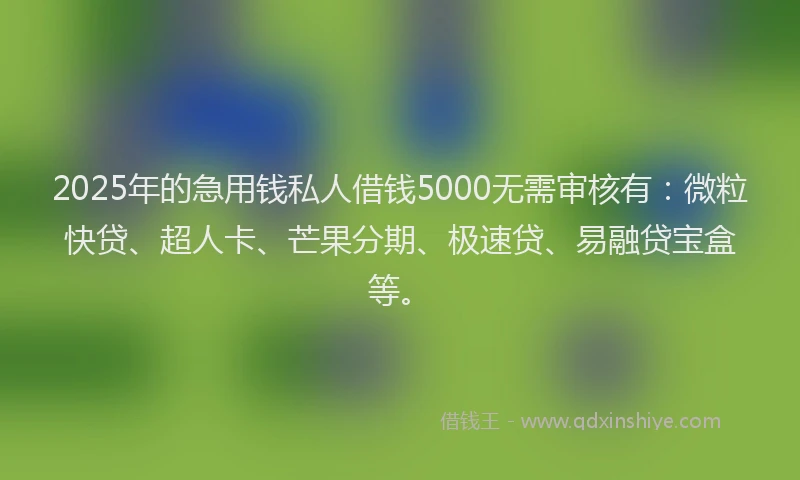 2025年的急用钱私人借钱5000无需审核有：微粒快贷、超人卡、芒果分期、极速贷、易融贷宝盒等。