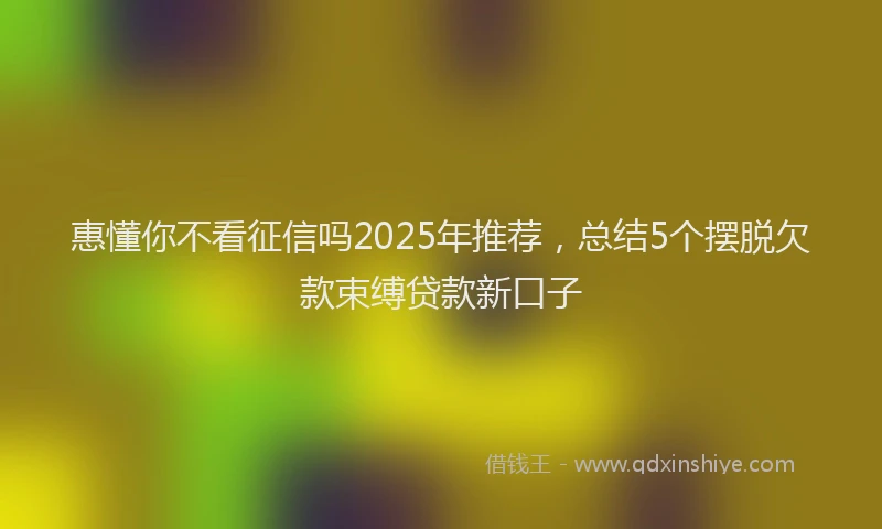 惠懂你不看征信吗2025年推荐，总结5个摆脱欠款束缚贷款新口子