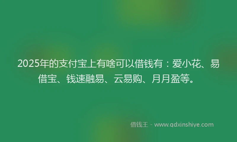 2025年的支付宝上有啥可以借钱有：爱小花、易借宝、钱速融易、云易购、月月盈等。