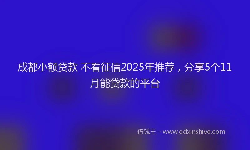 成都小额贷款 不看征信2025年推荐，分享5个11月能贷款的平台