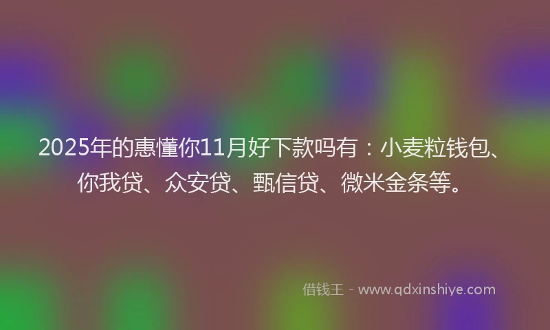 2025年的惠懂你11月好下款吗有：小麦粒钱包、你我贷、众安贷、甄信贷、微米金条等。