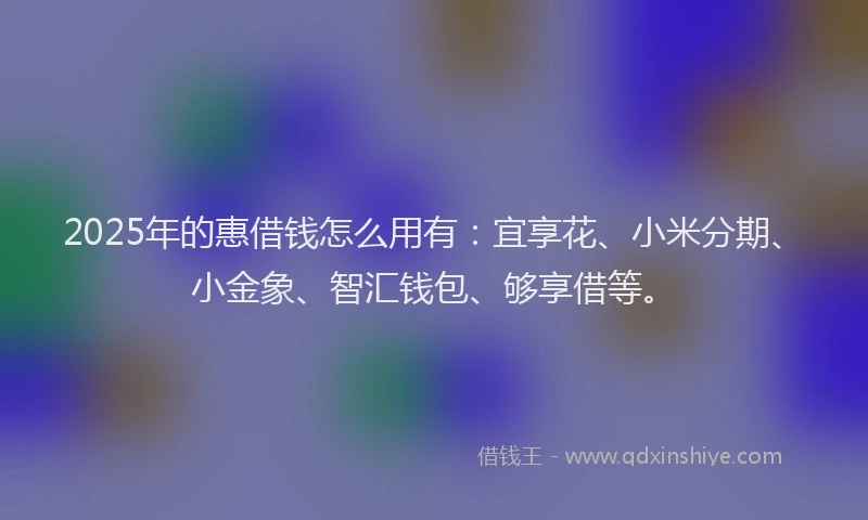 2025年的惠借钱怎么用有：宜享花、小米分期、小金象、智汇钱包、够享借等。