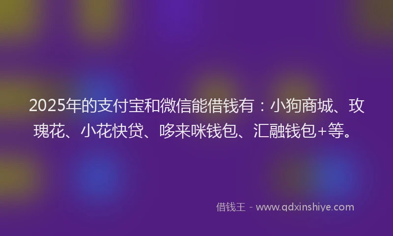 2025年的支付宝和微信能借钱有：小狗商城、玫瑰花、小花快贷、哆来咪钱包、汇融钱包+等。