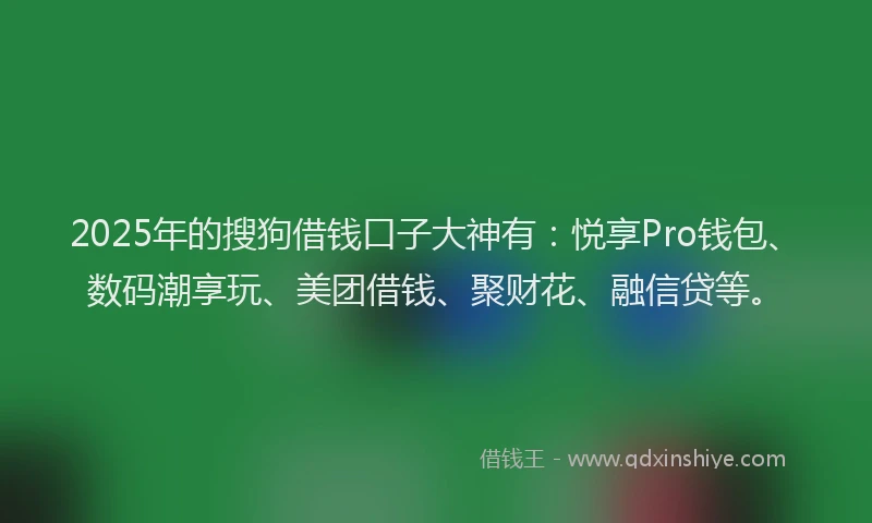 2025年的搜狗借钱口子大神有：悦享Pro钱包、数码潮享玩、美团借钱、聚财花、融信贷等。