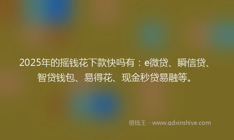 2025年的摇钱花下款快吗有：e微贷、瞬信贷、智贷钱包、易得花、现金秒贷易融等。