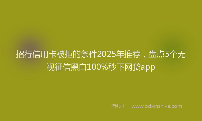 招行信用卡被拒的条件2025年推荐，盘点5个无视征信黑白100%秒下网贷app