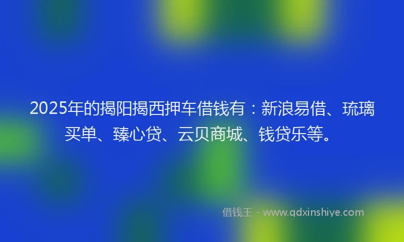 2025年的揭阳揭西押车借钱有：新浪易借、琉璃买单、臻心贷、云贝商城、钱贷乐等。