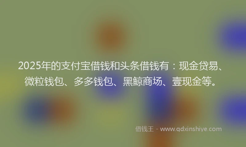2025年的支付宝借钱和头条借钱有：现金贷易、微粒钱包、多多钱包、黑鲸商场、壹现金等。