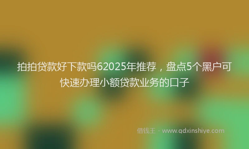 拍拍贷款好下款吗62025年推荐，盘点5个黑户可快速办理小额贷款业务的口子