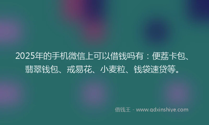 2025年的手机微信上可以借钱吗有：便荔卡包、翡翠钱包、戒易花、小麦粒、钱袋速贷等。