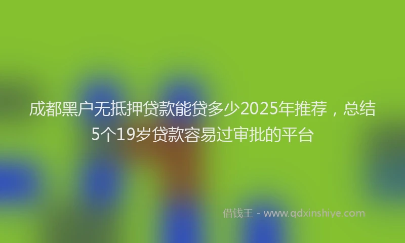 成都黑户无抵押贷款能贷多少2025年推荐，总结5个19岁贷款容易过审批的平台