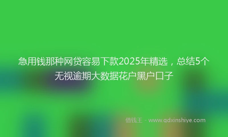 急用钱那种网贷容易下款2025年精选，总结5个无视逾期大数据花户黑户口子