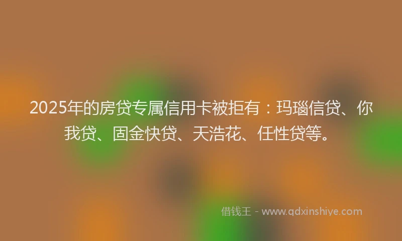 2025年的房贷专属信用卡被拒有：玛瑙信贷、你我贷、固金快贷、天浩花、任性贷等。