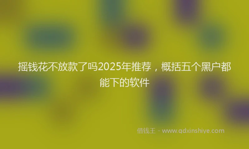 摇钱花不放款了吗2025年推荐，概括五个黑户都能下的软件