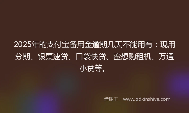 2025年的支付宝备用金逾期几天不能用有：现用分期、银票速贷、口袋快贷、蛮想购租机、万通小贷等。