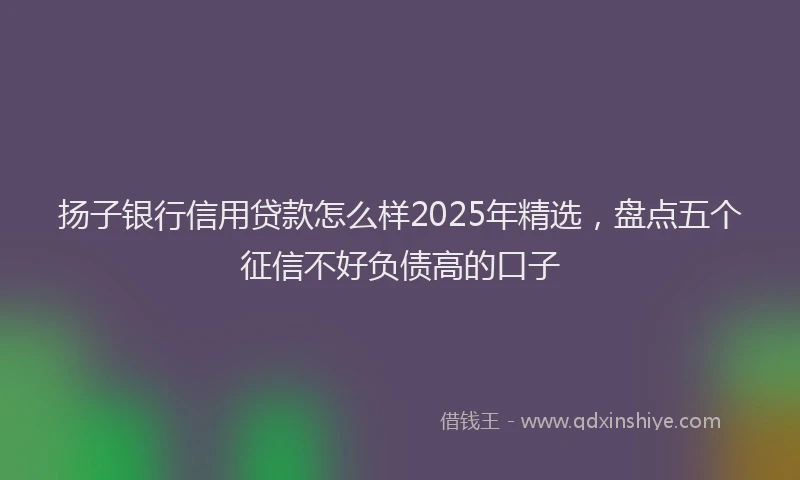 扬子银行信用贷款怎么样2025年精选，盘点五个征信不好负债高的口子