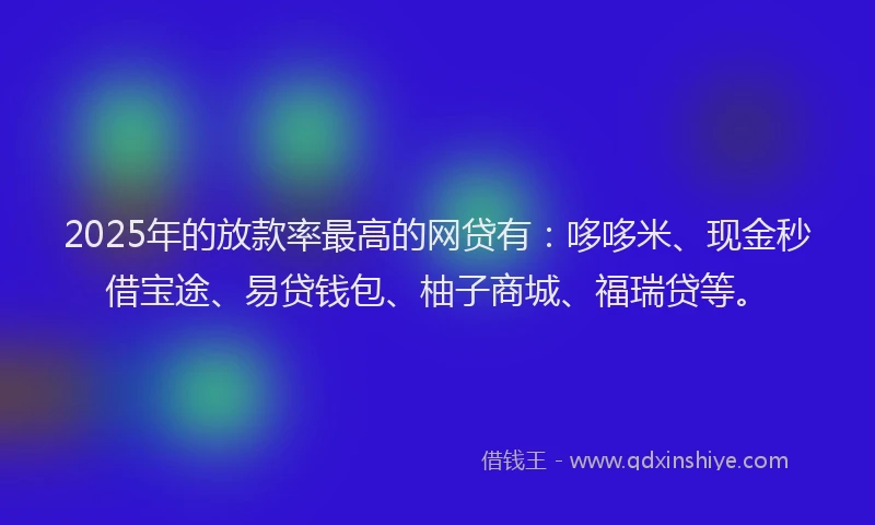 2025年的放款率最高的网贷有：哆哆米、现金秒借宝途、易贷钱包、柚子商城、福瑞贷等。