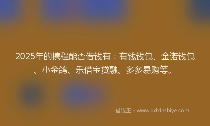 2025年的携程能否借钱有：有钱钱包、金诺钱包、小金鸽、乐借宝贷融、多多易购等。